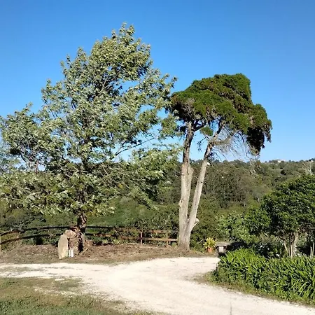 Farm stay Quinta Do Oratorio