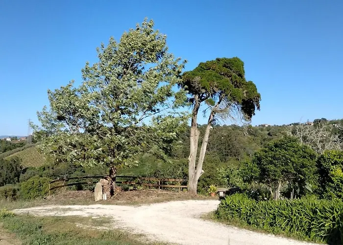 مزرعة للإقامة Quinta Do Oratorio